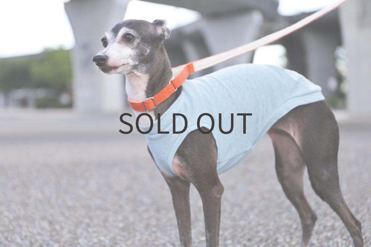 画像3: ネップ混コットンニット（スモークブルー）〜Lサイズまで (3)