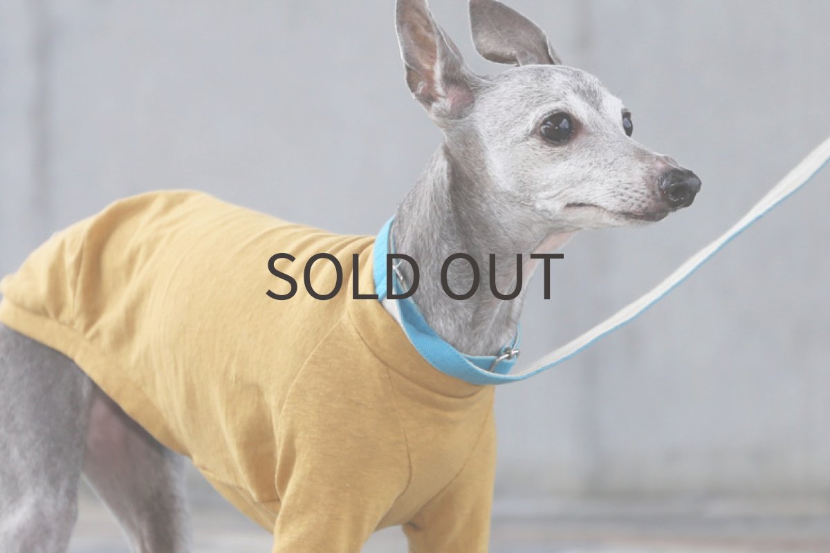 画像2: ネップ混コットンニット(キャメルマスタード)〜ノースリーブのみ (2)