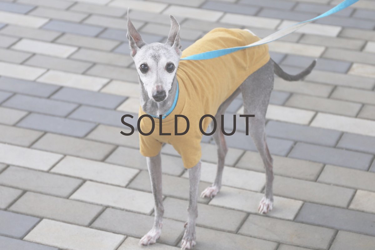 画像3: ネップ混コットンニット(キャメルマスタード)〜ノースリーブのみ (3)