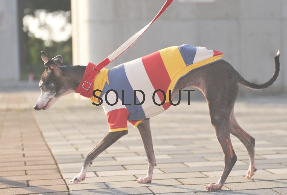 画像2: カラフル太ボーダー（レッド）〜LLサイズまで (2)