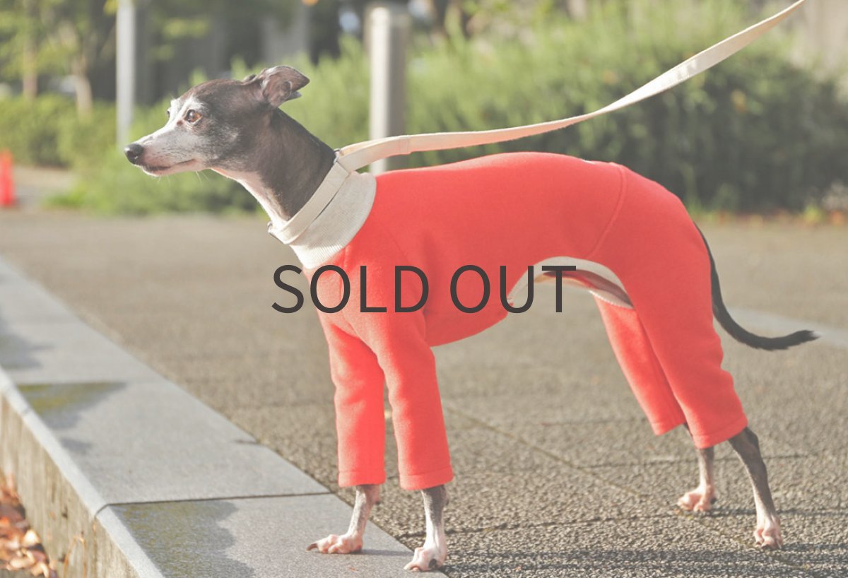 画像5: ecoフリースニット（ポピーレッド）〜MLまで (5)