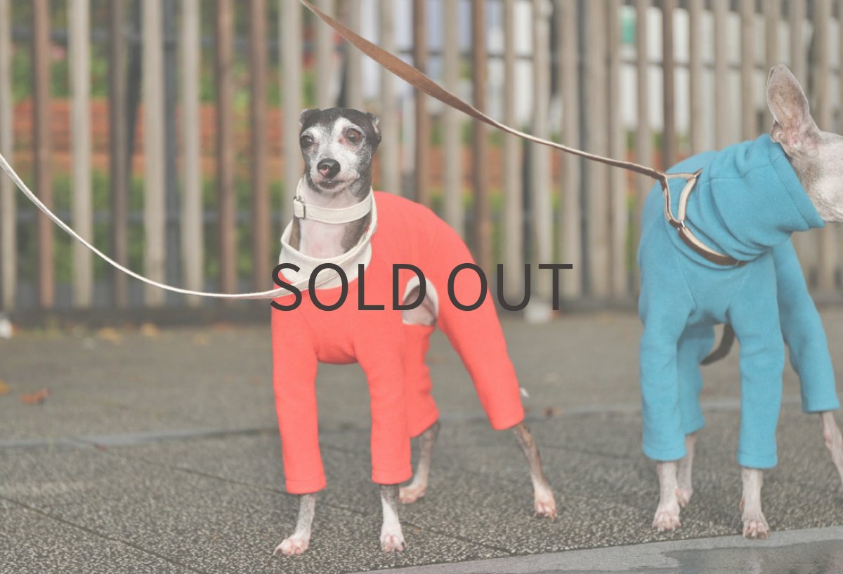 画像4: ecoフリースニット（ポピーレッド）〜MLまで (4)