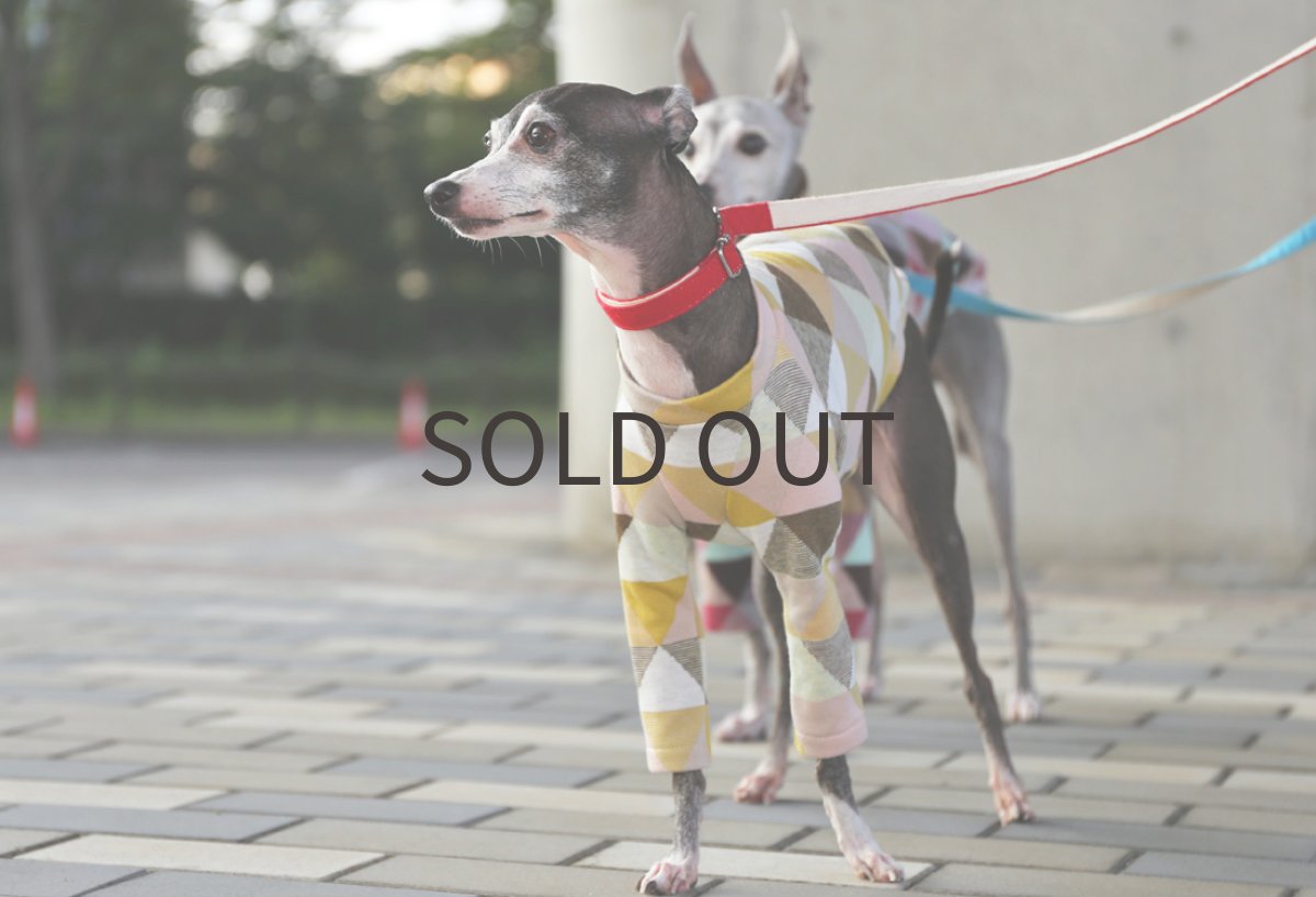 画像3: SANKAKU（ミモザ） (3)