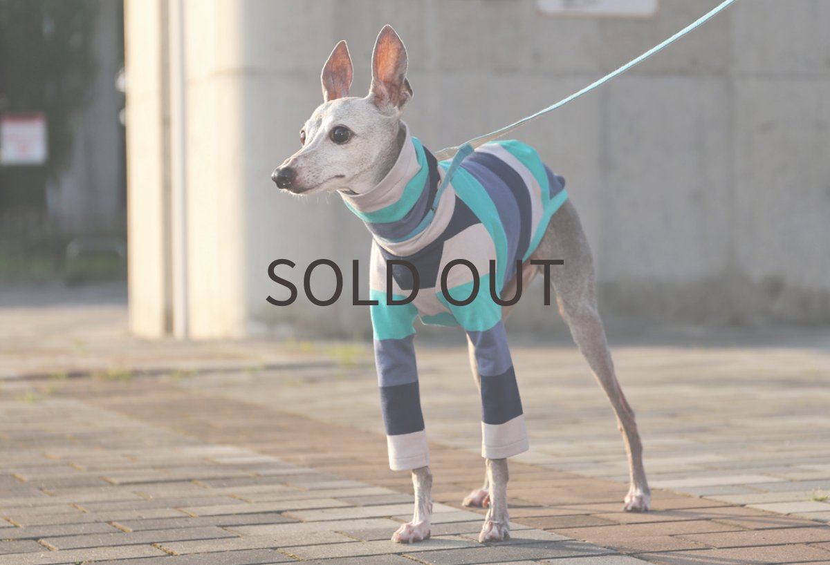 画像3: カラフル太ボーダー（ブルー）〜Mサイズまで (3)