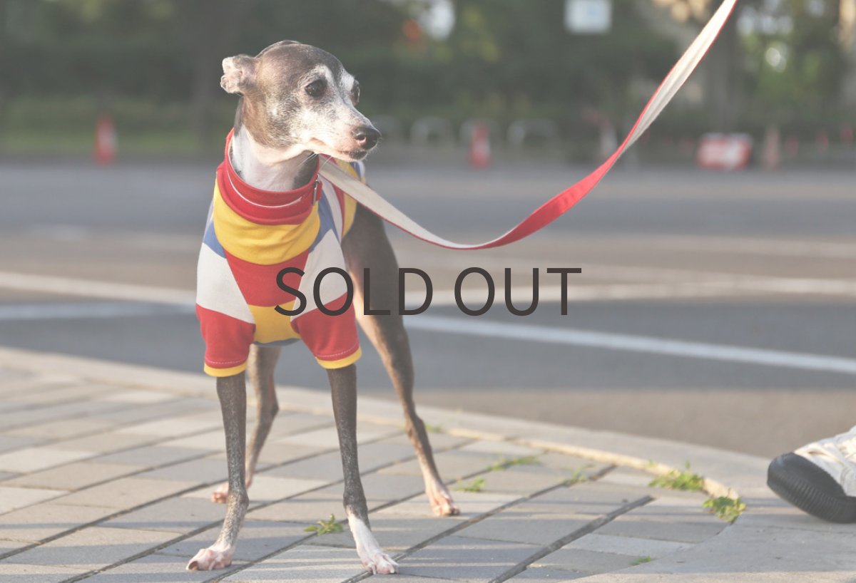 画像3: カラフル太ボーダー（レッド）〜LLサイズまで (3)