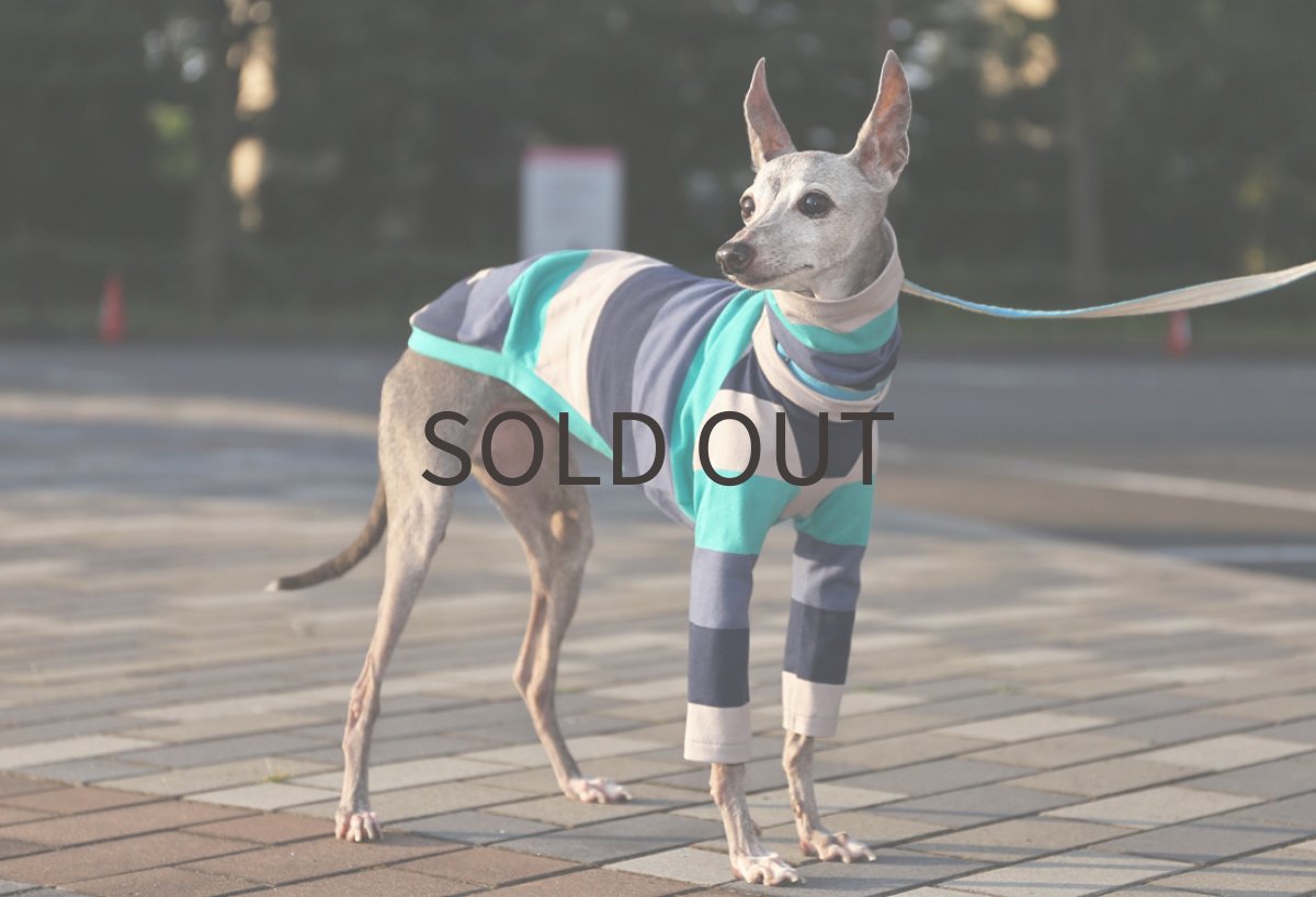 画像2: カラフル太ボーダー（ブルー）〜Mサイズまで (2)