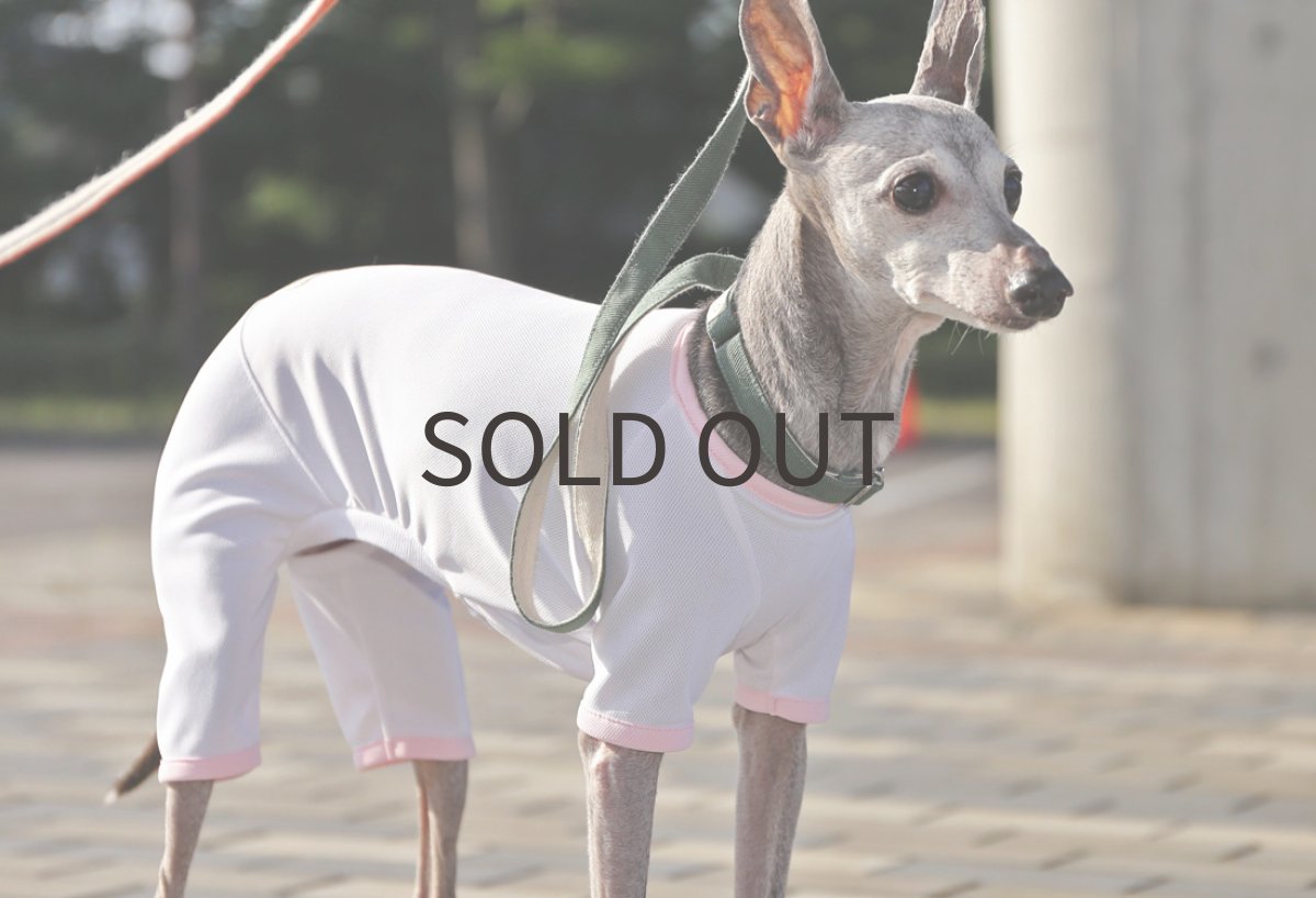 画像5: スポーツメッシュロンパース（ホワイト） (5)