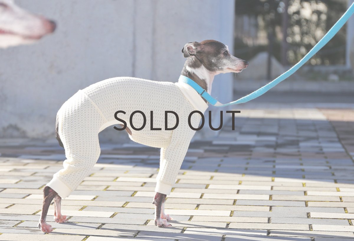 画像4: 【シャツタイプ対応可】ワッフルニット(オフホワイト)〜Mサイズまで (4)