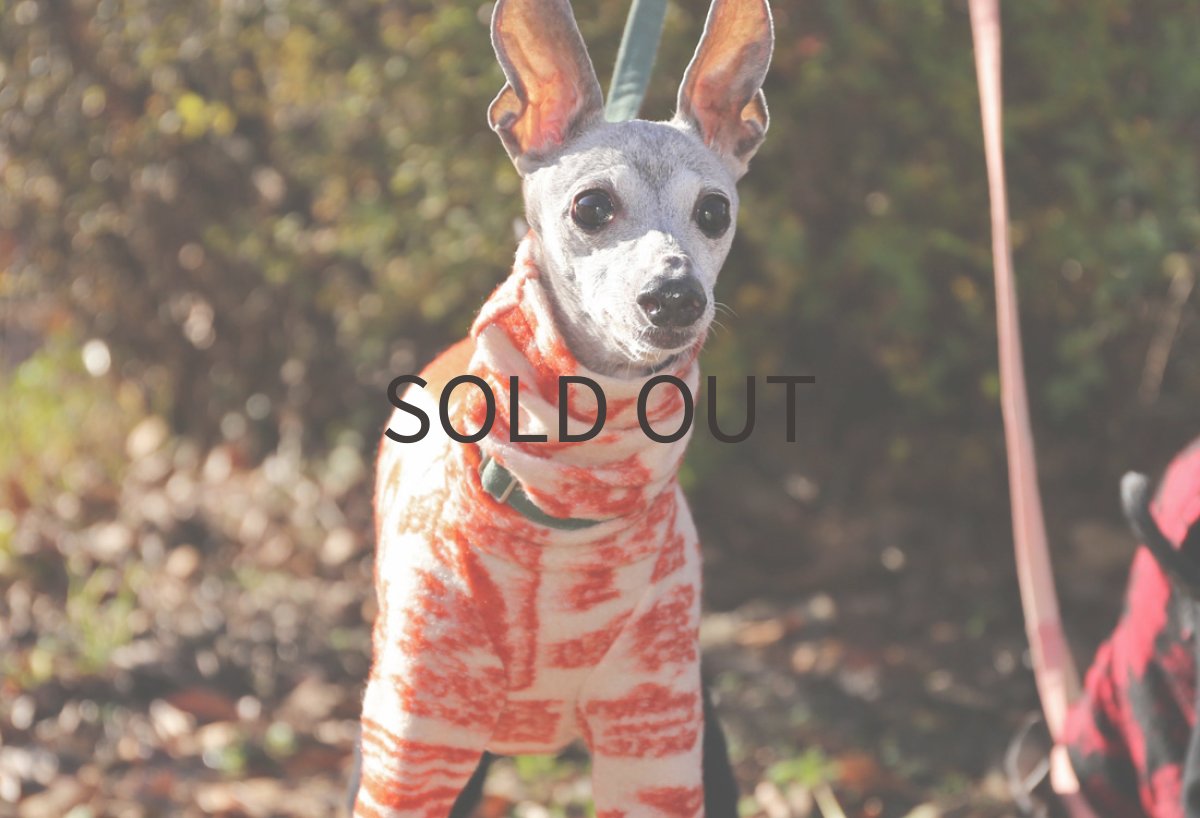 画像2: アートポスター柄ウールジャガード(アイボリー)〜LLサイズまで (2)