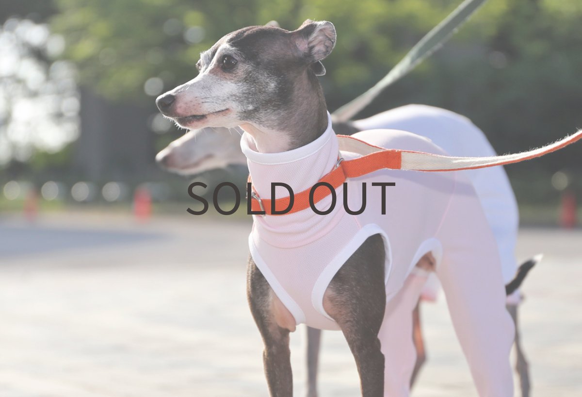 画像3: スポーツメッシュロンパース（ベビーピンク） (3)