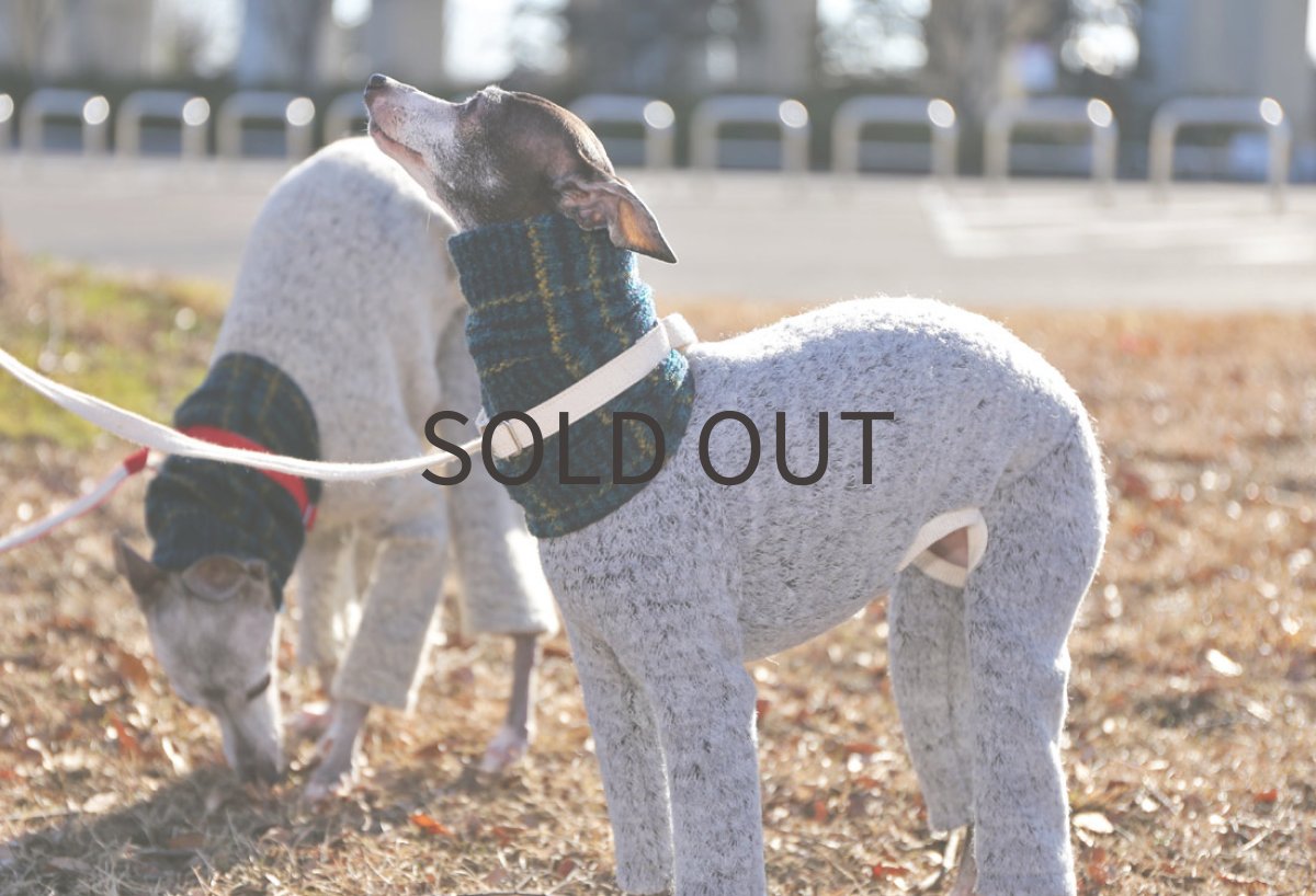 画像4: ウールループ＆スライバーチェック（ライトグレー）〜MSサイズまで (4)