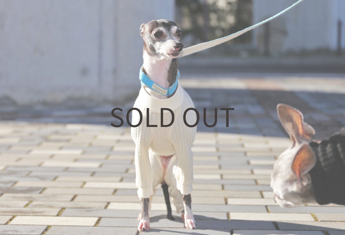 画像3: 【シャツタイプ対応可】ワッフルニット(オフホワイト)〜Mサイズまで (3)