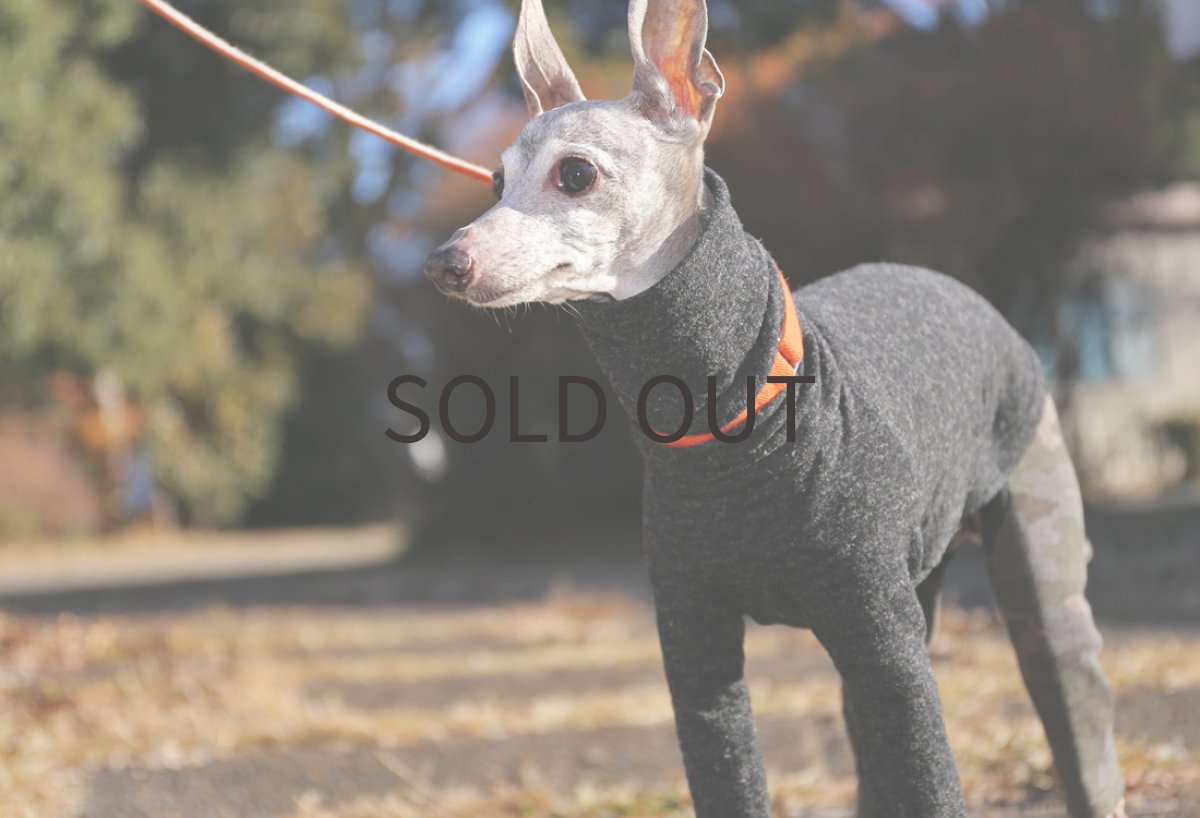 画像2: カモフラ裏毛のスリムパンツ(ブラウンカーキ) (2)