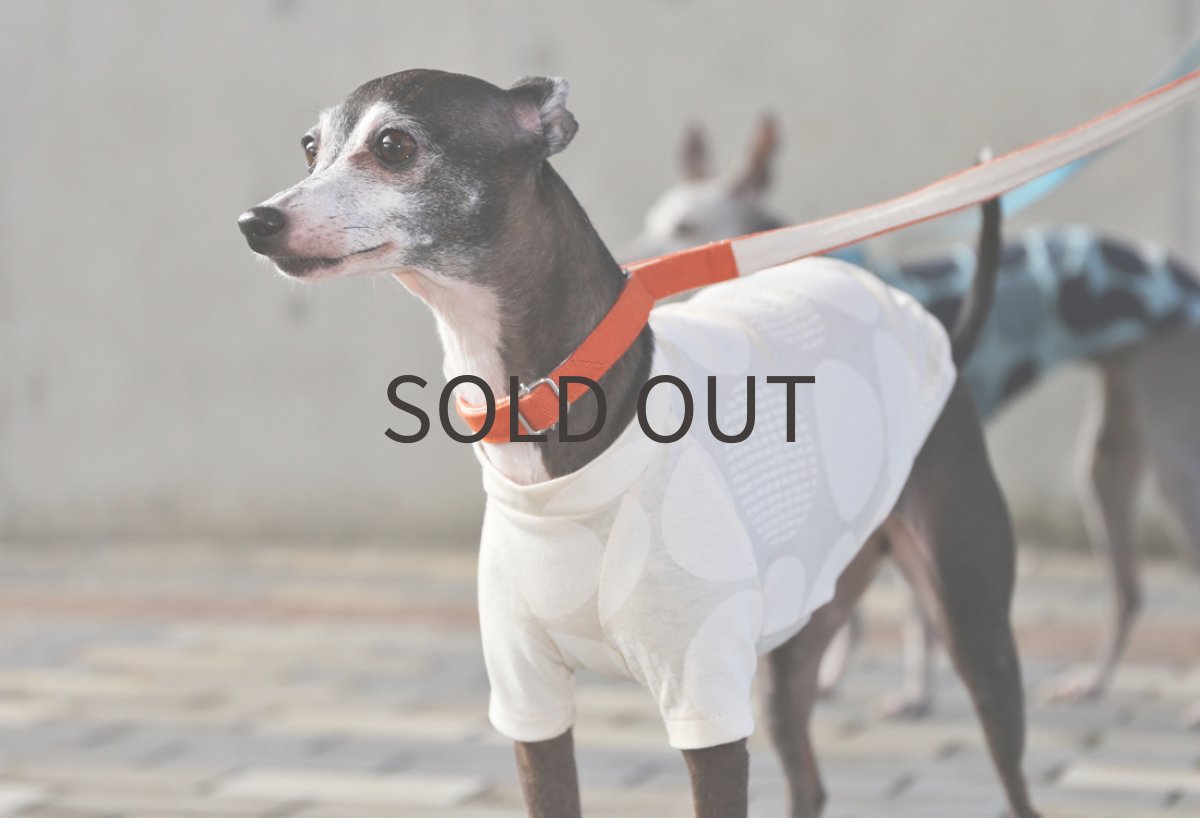 画像4: 【SALE!!】リネンコットン（生成り）MSサイズ（未着用） (4)