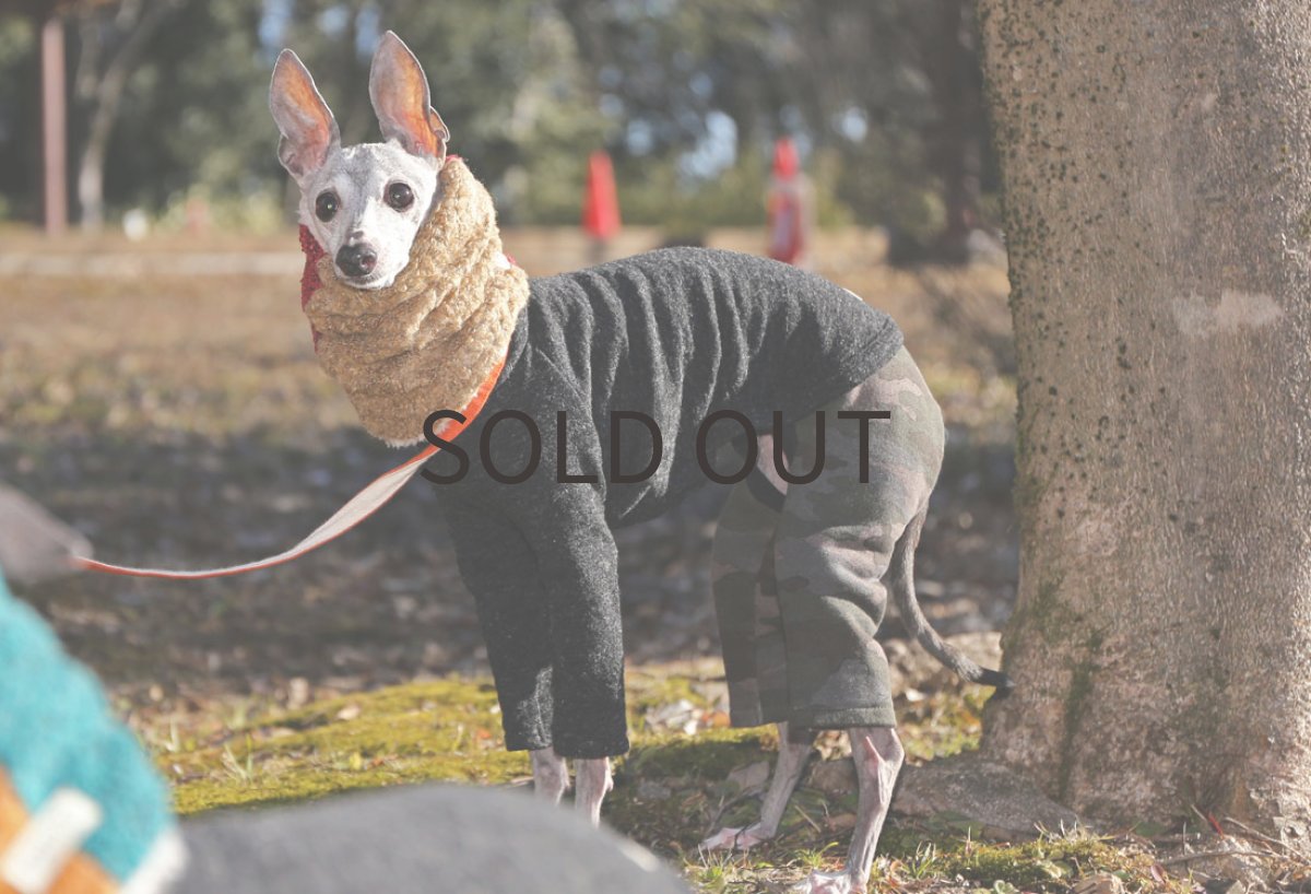 画像3: カモフラ裏毛のスリムパンツ(ブラウンカーキ) (3)