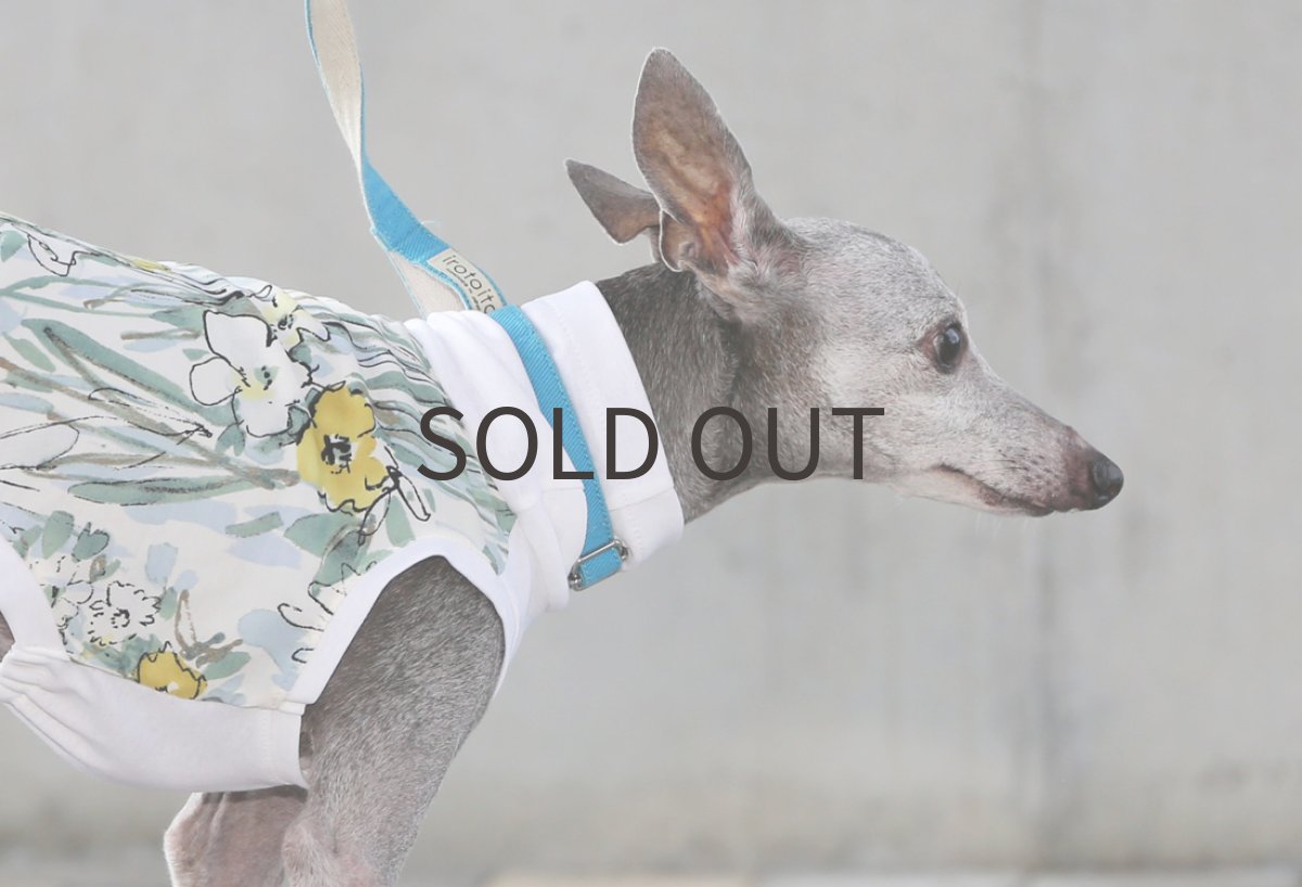 画像4: 水彩エステルブロード（シャンパン） (4)