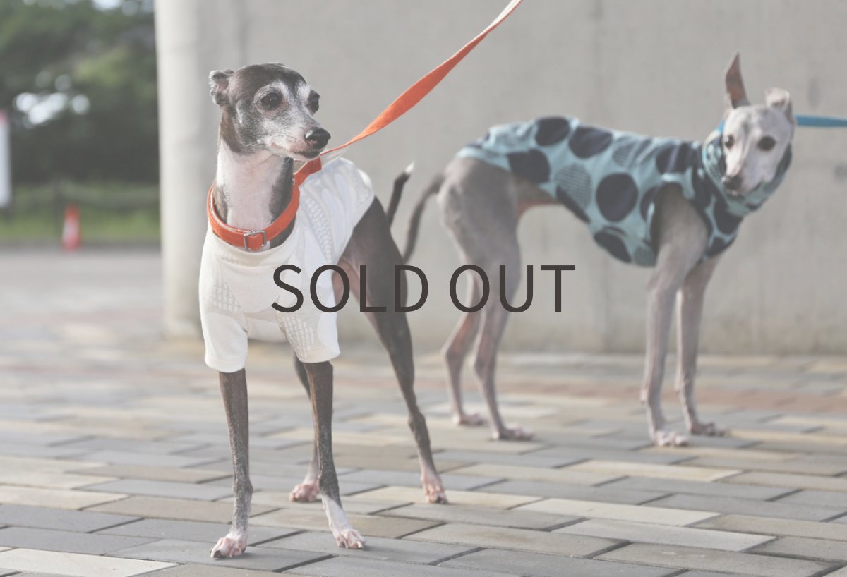 画像2: 【SALE!!】リネンコットン（生成り）MSサイズ（未着用） (2)