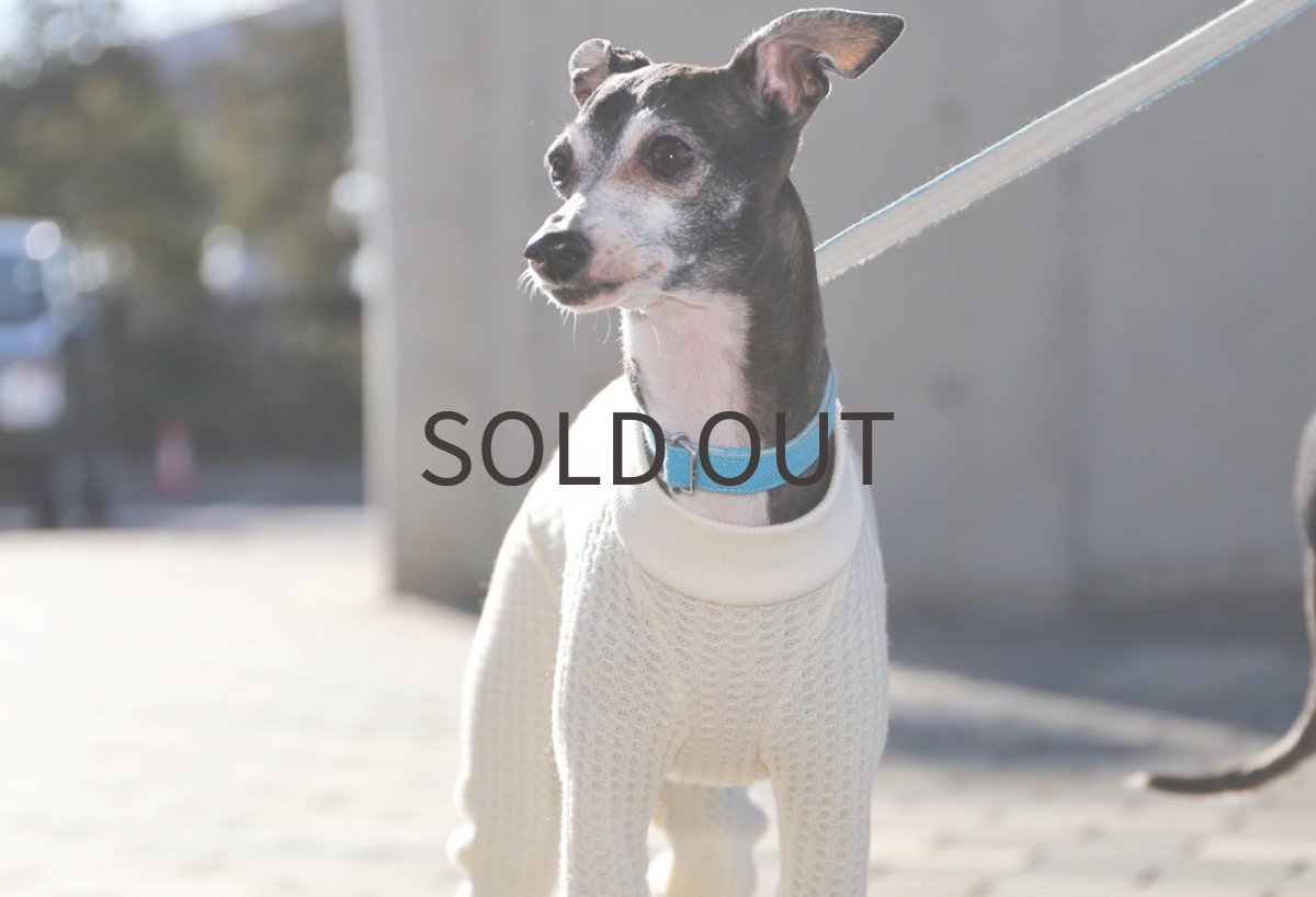 画像2: 【シャツタイプ対応可】ワッフルニット(オフホワイト)〜Mサイズまで (2)