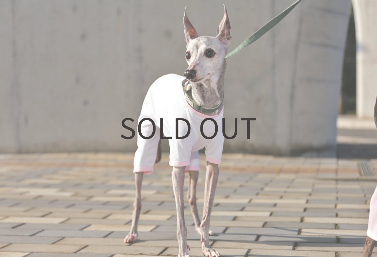 画像4: スポーツメッシュロンパース（ホワイト） (4)