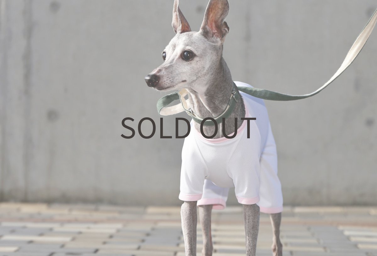 画像2: スポーツメッシュロンパース（ホワイト） (2)