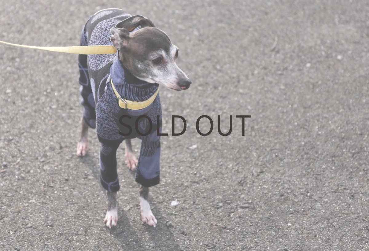 画像3: ウール混サークルジャガード（ブラック） (3)