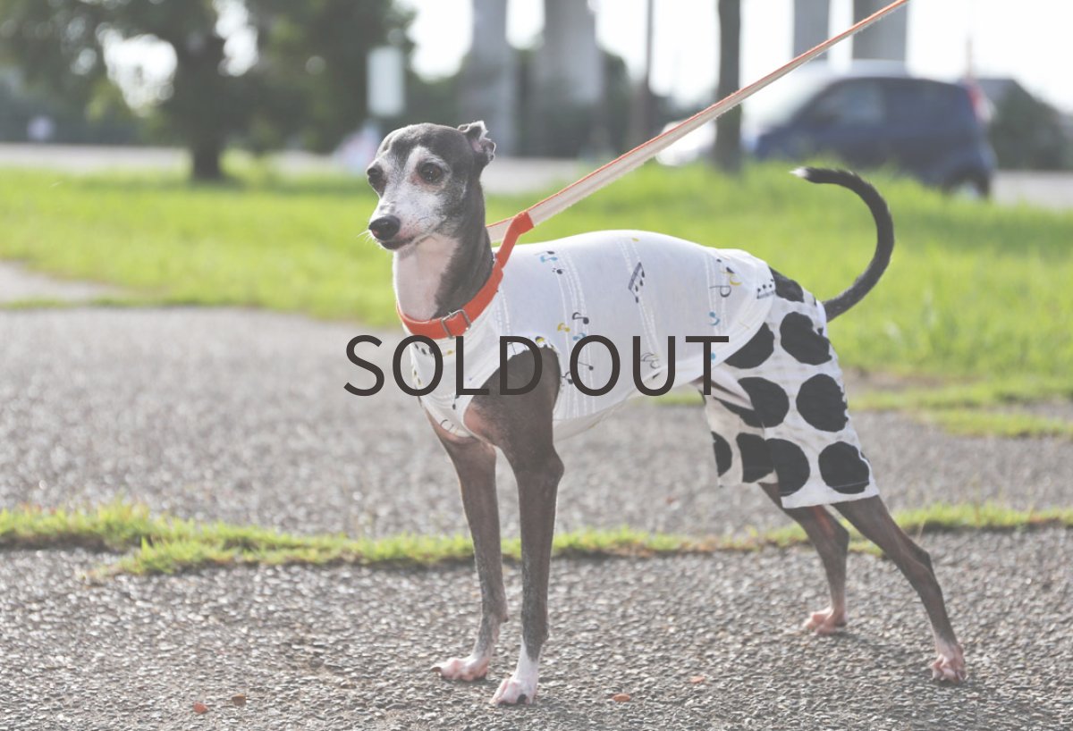 画像3: 【SALE!!】音符とドット　Sサイズ (3)