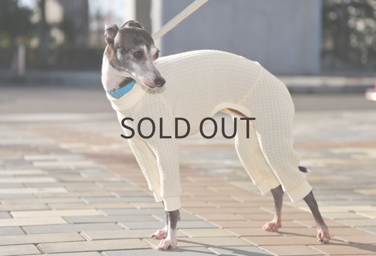 画像5: 【シャツタイプ対応可】ワッフルニット(オフホワイト)〜Mサイズまで (5)