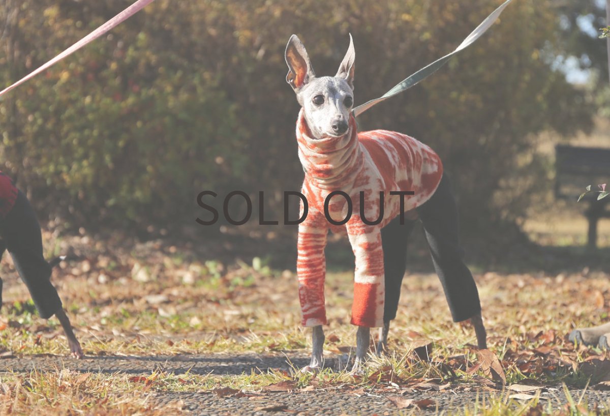 画像3: アートポスター柄ウールジャガード(アイボリー)〜LLサイズまで (3)