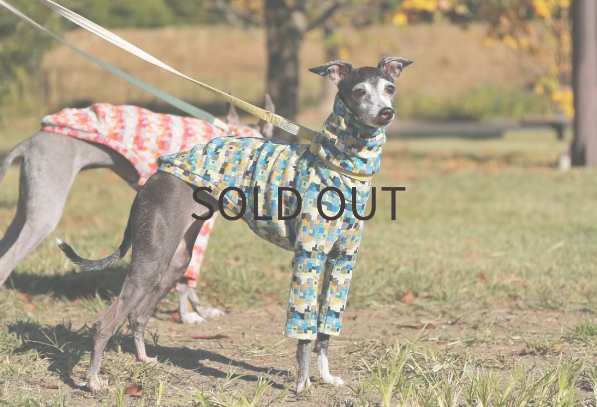 画像5: カラーブロック（ブルーレモン） (5)