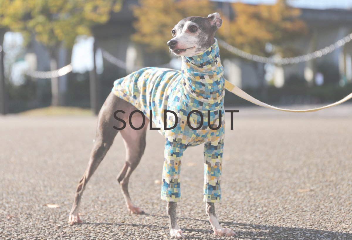 画像2: カラーブロック（ブルーレモン） (2)