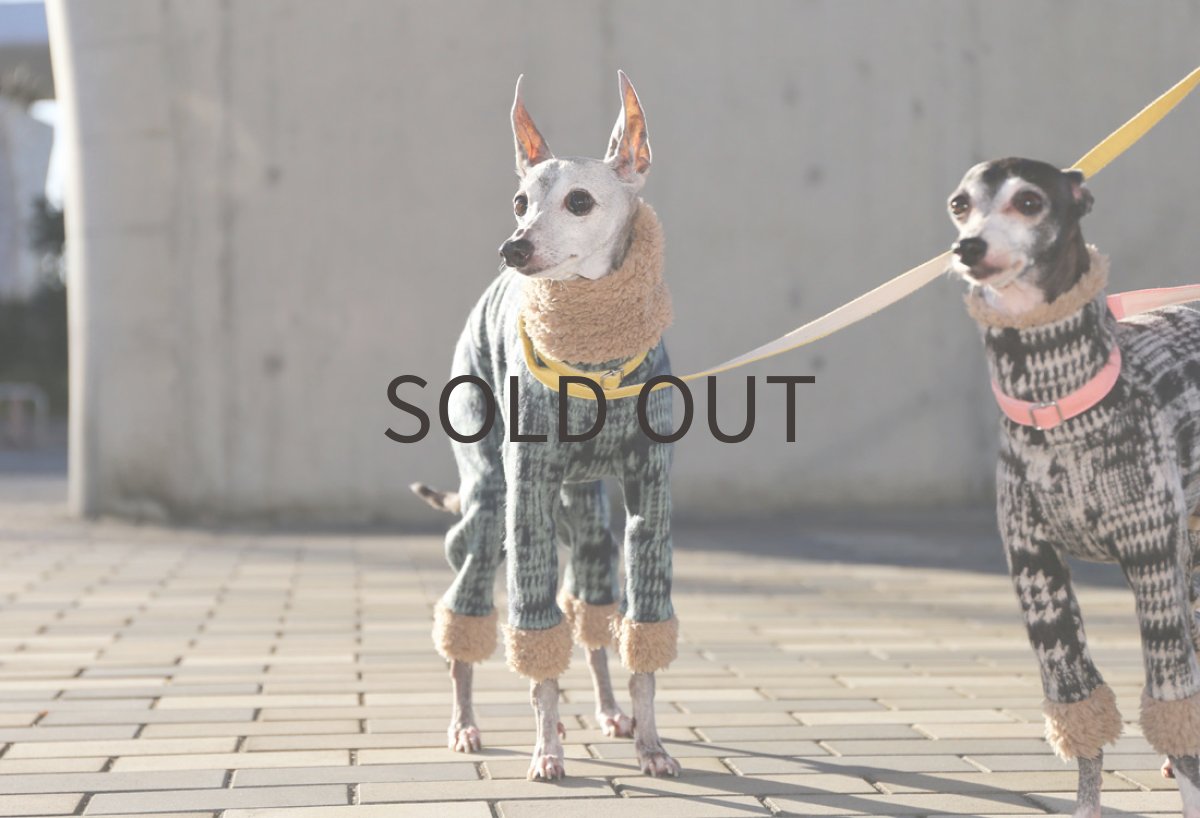 画像5: プードルファー+シャギー（ナンド） (5)