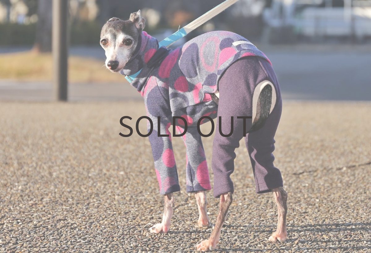 画像3: 発熱ソリストサーモ（サークル）〜Lサイズまで (3)