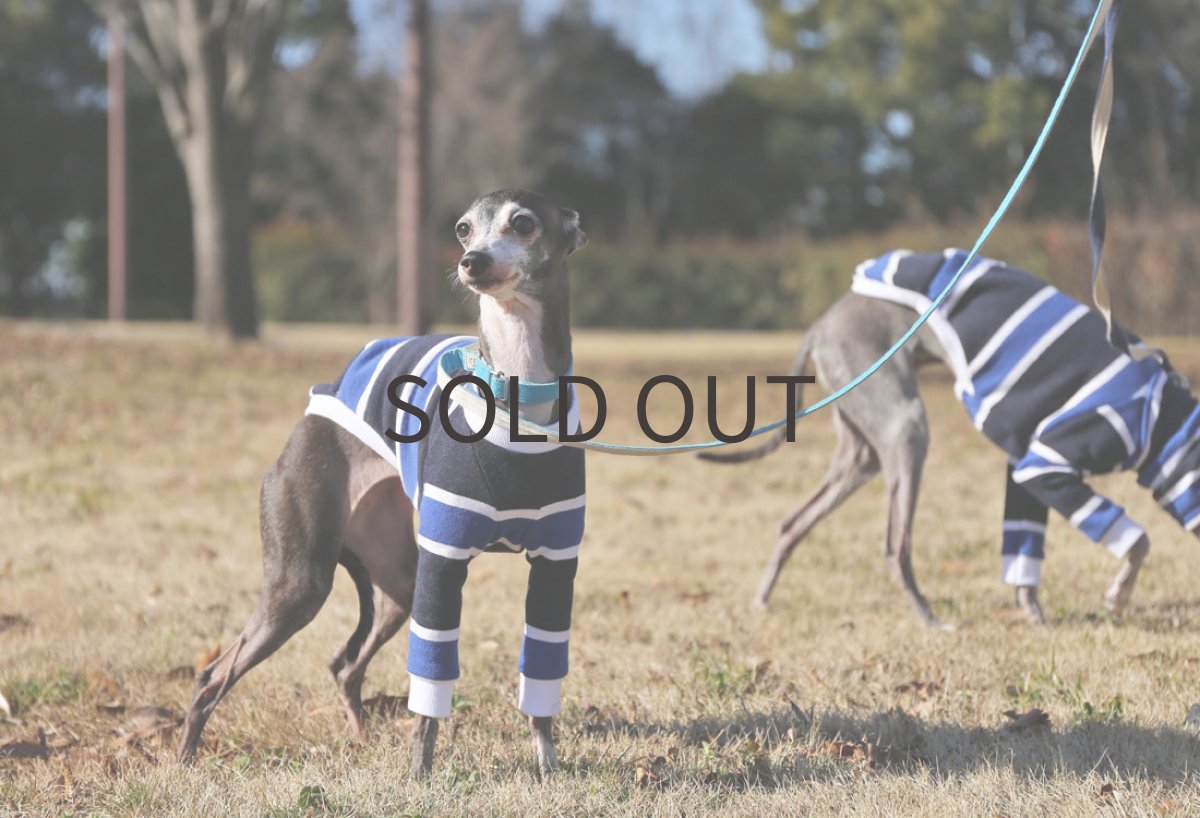 画像3: ラガーボーダー (3)