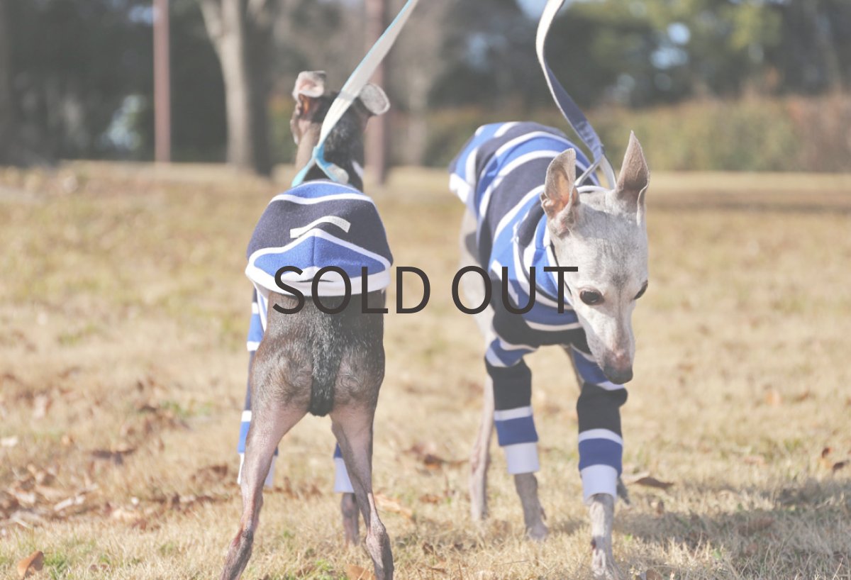 画像5: ラガーボーダー (5)