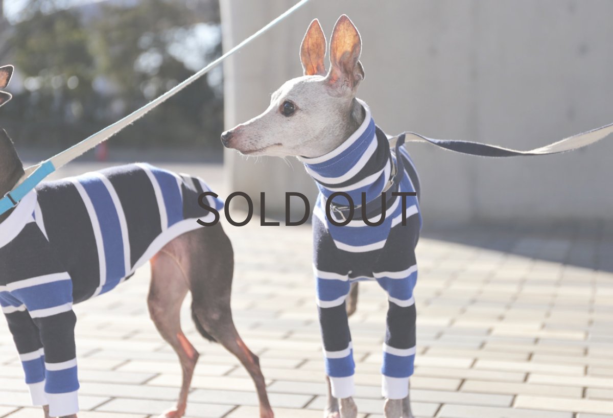 画像2: ラガーボーダー (2)