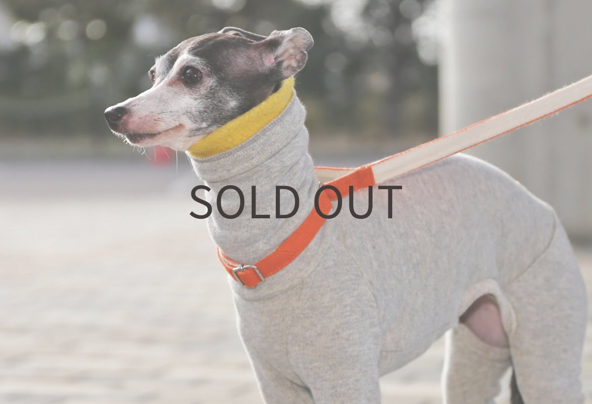 画像2: ふんわり裏起毛（イエロー）〜Lサイズまで (2)