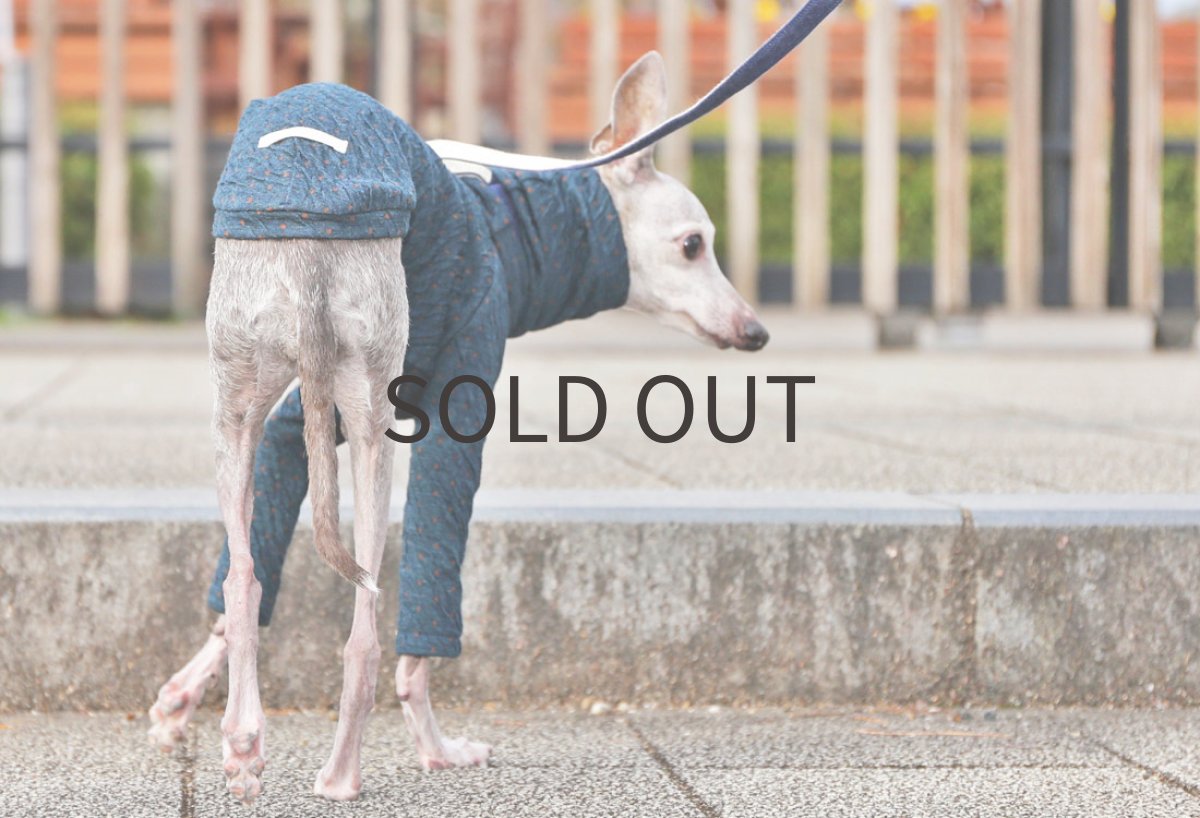 画像4: ICHINOMIYAウールニット（プルシャンブルー） (4)