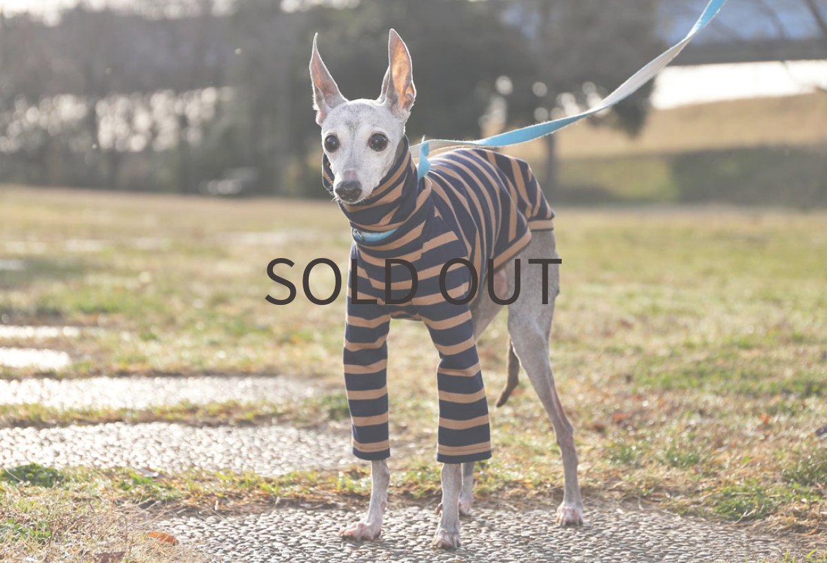 画像5: 【SALE!!】cottonボーダー（ネイビー）MLサイズ (5)