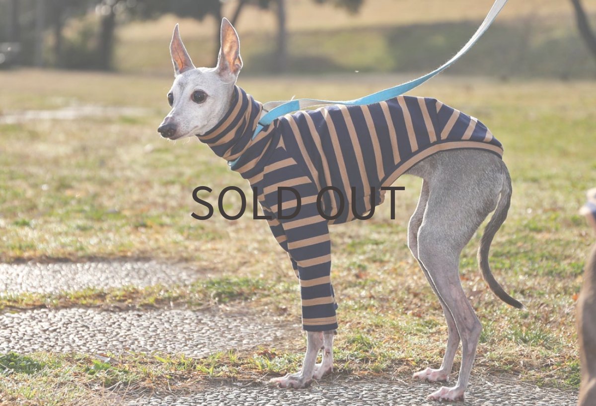 画像3: 【SALE!!】cottonボーダー（ネイビー）MLサイズ (3)