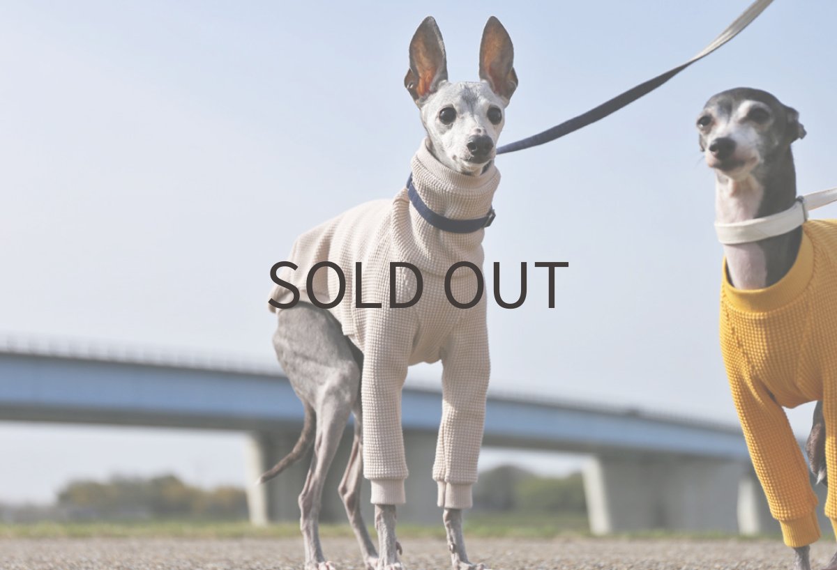 画像2: コットンワッフル（ミルキーベージュ）〜Lサイズ、ノースリーブ、ショート丈まで (2)