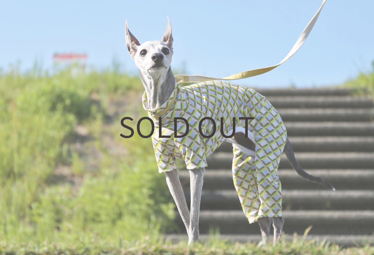 画像2: レトロスムース（リーフ）〜LLサイズまで (2)