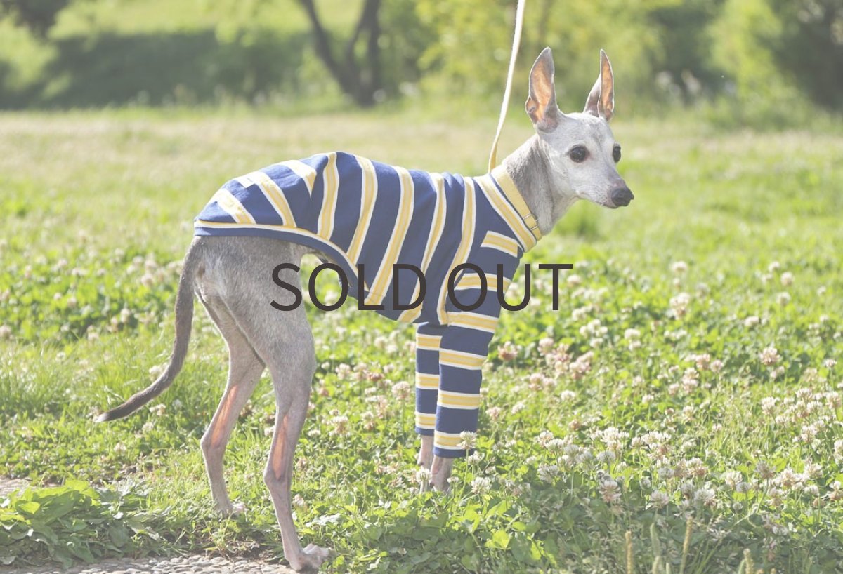 画像3: コットンパターンボーダー（ネイビー） (3)