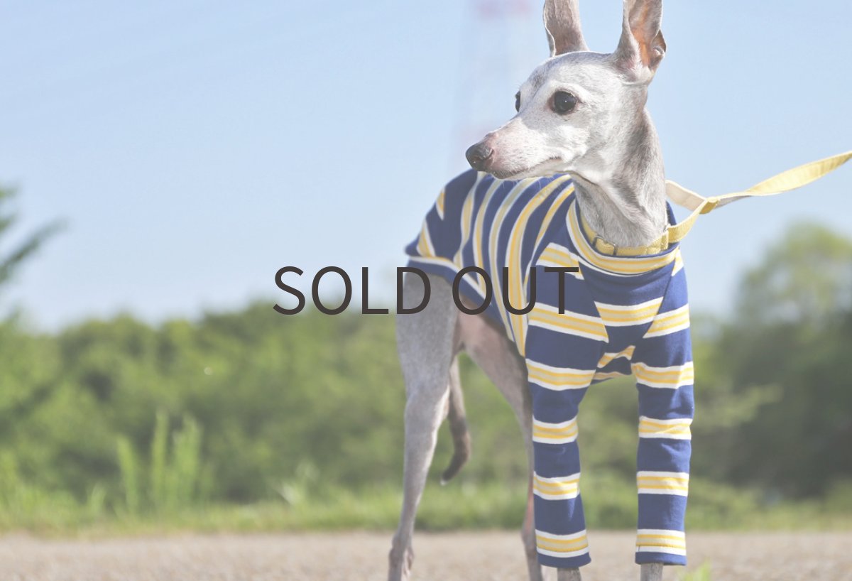 画像4: コットンパターンボーダー（ネイビー） (4)