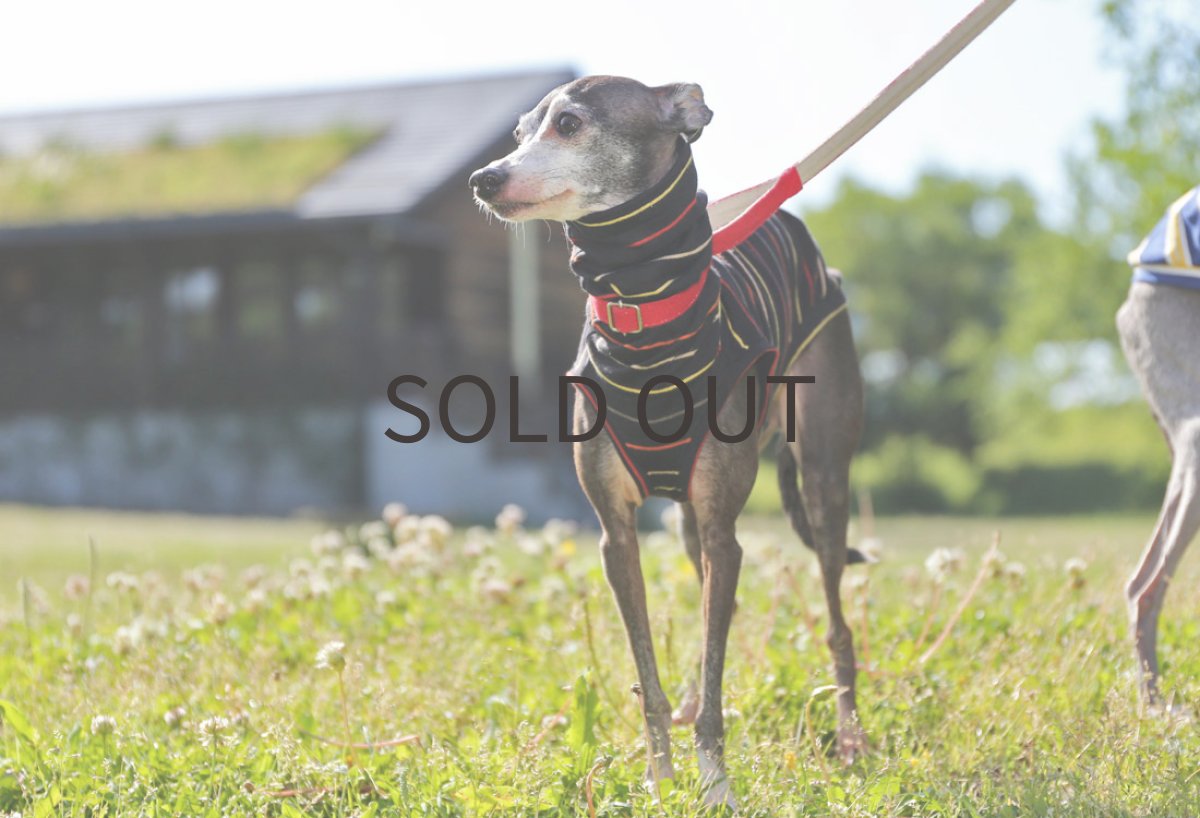 画像4: コットンピンボーダー（ブラック）〜ノースリーブまで (4)