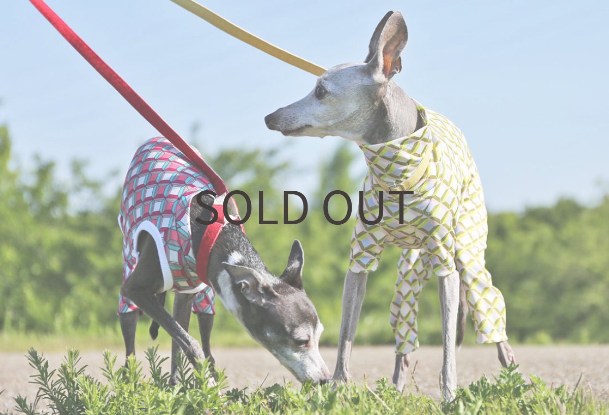 画像5: レトロスムース（リーフ）〜LLサイズまで (5)