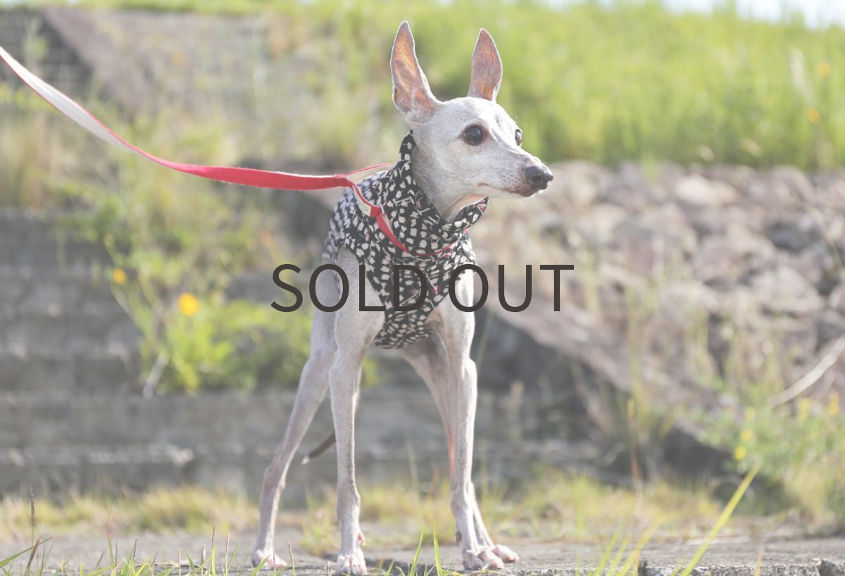 画像3: 【和】ちりめんニット（霞色）〜Lサイズまで (3)