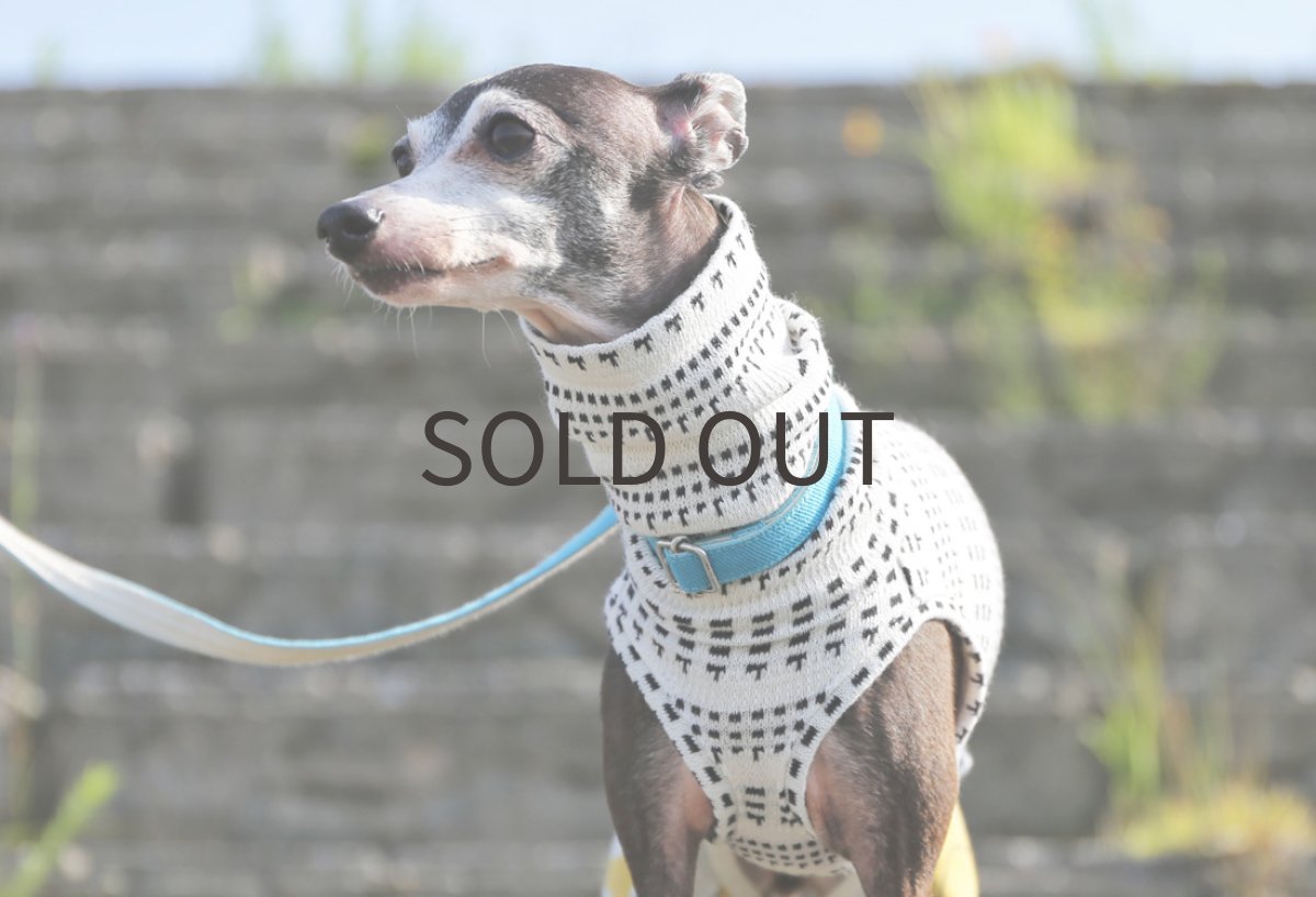 画像4: シャボン玉パンツのロンパース（カラシ） (4)