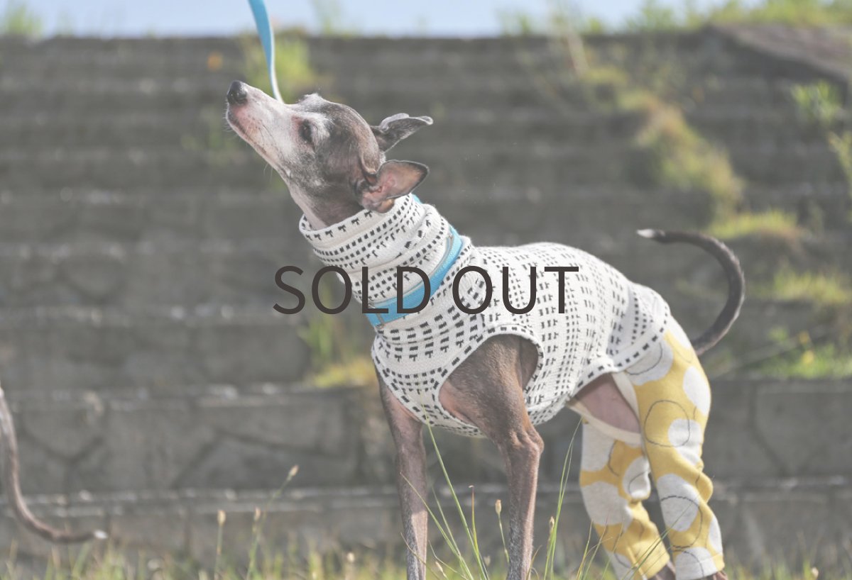 画像3: シャボン玉パンツのロンパース（カラシ） (3)