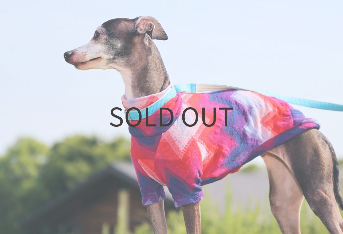 画像5: ギザギザ接結ニット（レッド×パープル）〜Lサイズまで (5)