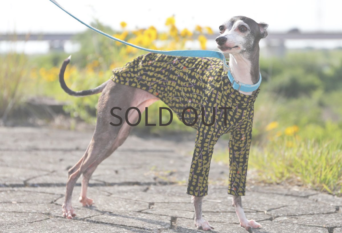 画像3: 【和】ちりめんニット（うぐいす色）〜サイズ限定、ショート丈、ノースリーブまで (3)